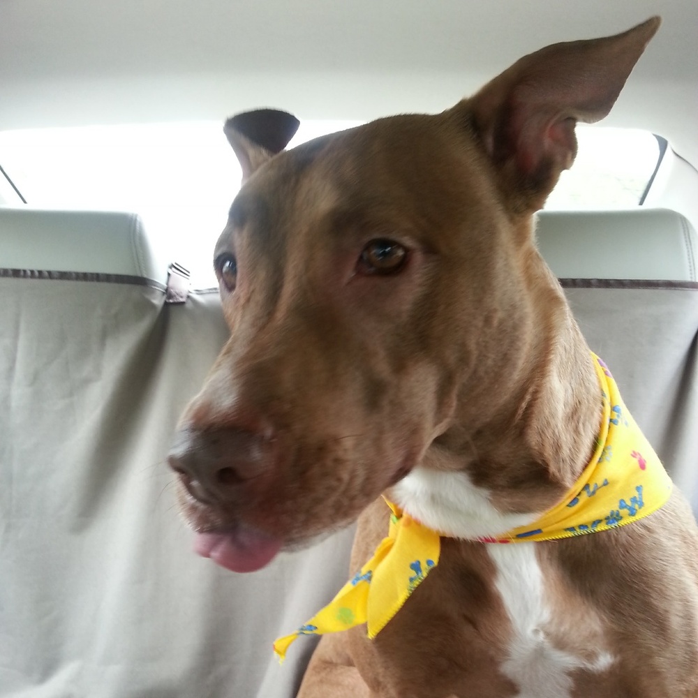 Cleaning out my closet & then some